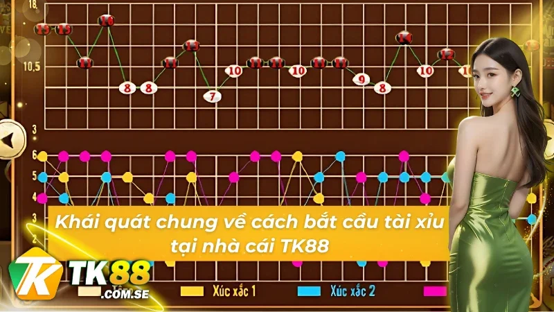Khái quát về cách bắt cầu tài xỉu tại nhà cái TK88