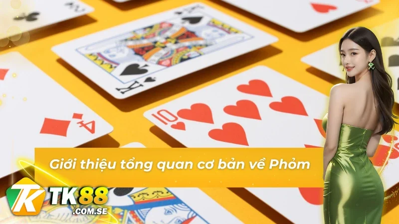 Giới thiệu tổng quan cơ bản về Phỏm
